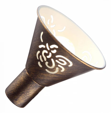 Спот Arte Lamp Cono A5218AP-2BR