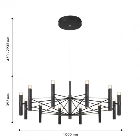 Подвесная люстра Favourite Blick 4758-12P