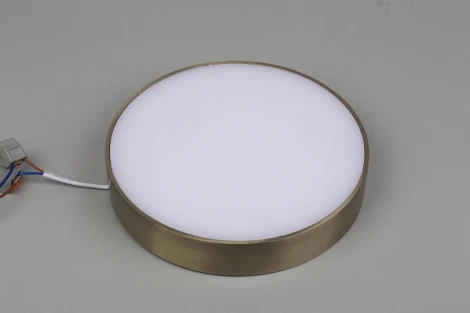 Потолочный светильник круглый Aployt Evon APL.0114.29.24 (LED, 220V, круглые)