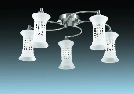 Потолочная люстра Odeon Light Rukba 2516/5C