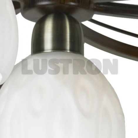 Потолочная люстра Lussole Mores LSL-8807-08