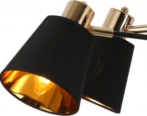 Потолочная люстра на штанге ILLUMICO IL6116-6COU-79 BK GD Abelie (220V)