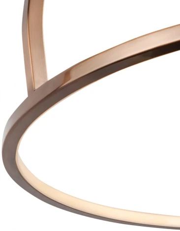 Подвесной светильник L'Arte Luce U-light L38901.71 (LED, 220V, на тросе)