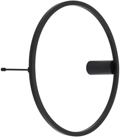 Настенный светильник RGB Odeon Light Omen 4386/24WL (LED, 220V, пульт управления, круглые)