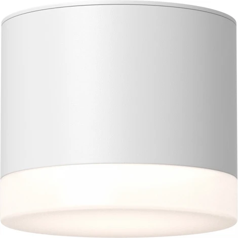 Потолочный светильник Maytoni Pauline C087CL-GX53-W GX53 1x15W (220V, круглые, IP44)