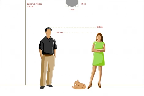 Потолочный светильник MW-Light Ариадна 450013403