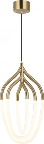 Подвесной светильник Zortes Argo ZRS.57785.03 (LED, 220V, на проводе)