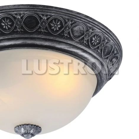 Потолочный светильник Arte Lamp Piatti A8009PL-2SB