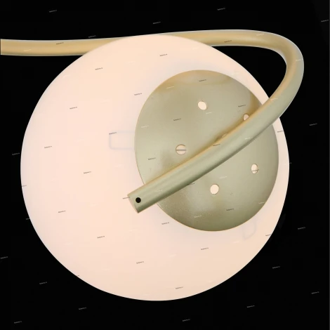 Потолочная люстра ST Luce Delicata SL711.202.04