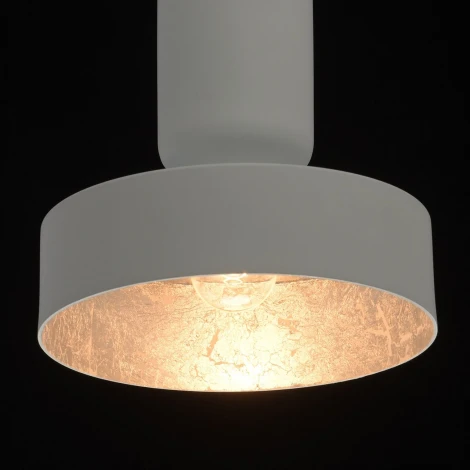 Подвесной светильник MW-Light Галатея 452015301