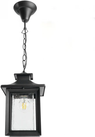 Уличный подвесной светильник Feron Брюссель PL555 48335 60W E27 черный (220V, на цепи, IP44)