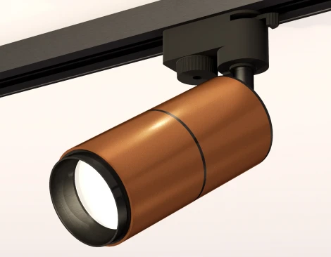 Трековый светильник Ambrella Track System XT6304001 (220V, круглые)