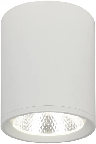 Точечный накладной светильник Escada 20003 20003SMU/02LED SWH