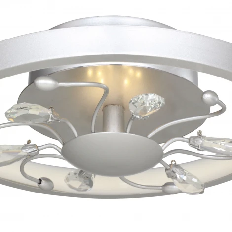 Потолочная люстра Favourite Waltz 2523-2C