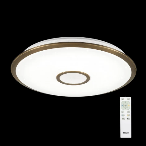 Потолочный светильник Citilux Старлайт R CL70383R