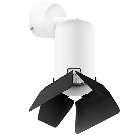 Спот Lightstar Rullo RB436437 (220V, круглые)