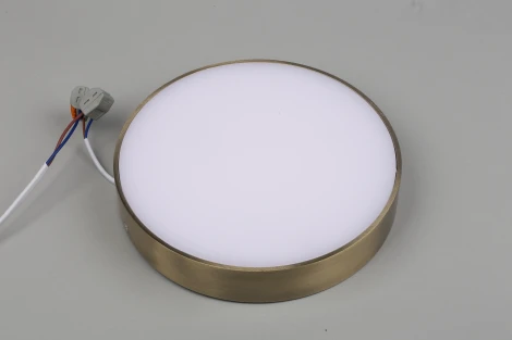 Потолочный светильник круглый Aployt Evon APL.0113.29.24 (LED, 220V, круглые)