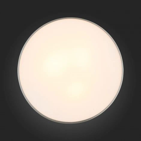Настенно-потолочный светильник ST Luce Bagno SL468.502.03