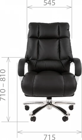 Компьютерное кресло CHAIRMAN 405 ЭКО (Металл,Экокожа/Черный)