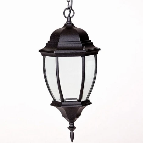 Уличный светильник подвесной Oasis Light 91205L Bl (220V, на цепи, IP44)