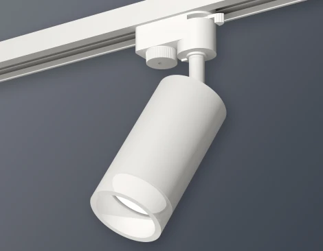 Трековый светильник Ambrella Track System XT6322160 (220V, круглые)