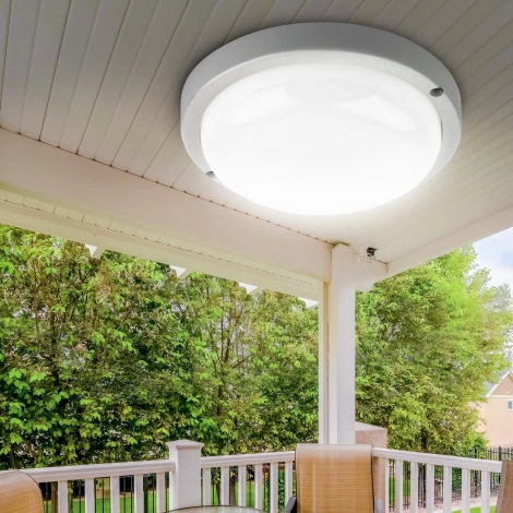 Настенно-потолочный светильник светодиодный ЭРА SPB-201-0-65K-018 (220V, круглые, IP65)