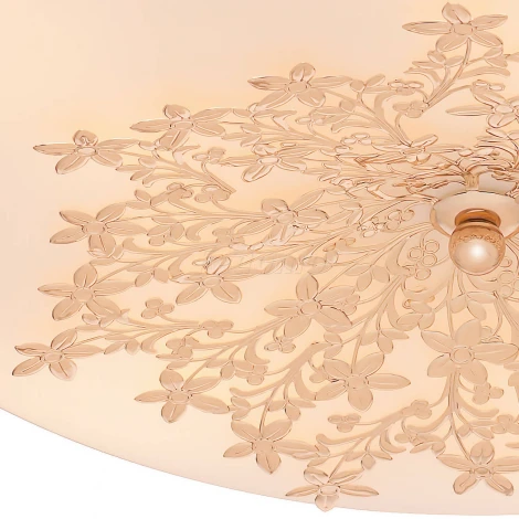 Настенно-потолочный светильник Silver Light Verbena 835.50.5