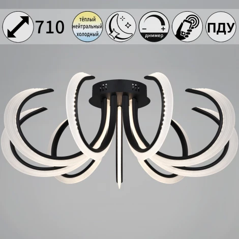 Потолочная люстра светодиодная с пультом и ночным режимом Reluce 74390-0.3-09L black (Умный дом) (220V)