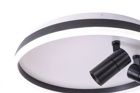 Потолочный светильник круглый со спотами Zortes Raizy ZRS.1888.01 (LED, 220V, круглые)