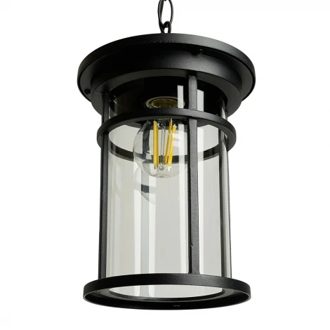 Уличный светильник подвесной Feron Турин 51819