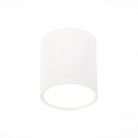 Накладной точечный светильник ST Luce Rene ST113.542.05 (LED, 220V, круглые)