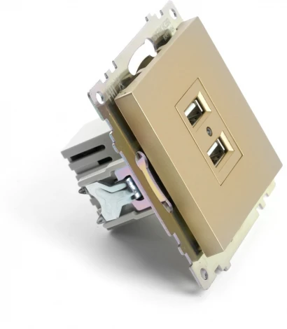 Розетка с USBх2 (золото) Stekker Катрин 49229