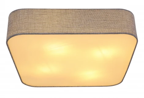 Потолочный светильник Paco 15185D8