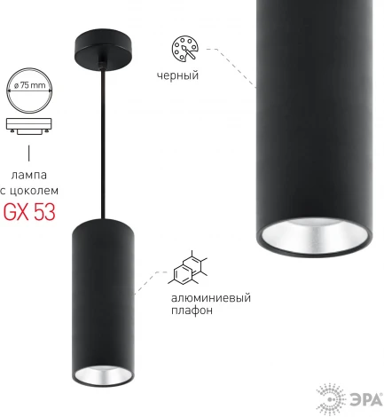 Подвесной светильник ЭРА PL12 GX53 BK/SL (220V, на проводе)