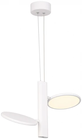 Подвесной светильник Lussole Aberdeen LSP-7085 (LED, 220V, на тросе, круглые, IP21)