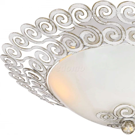 Потолочный светильник Favourite Dina 1669-2C