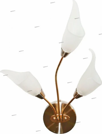 Бра N-Light BX-0143 BX-0143/3B бронза