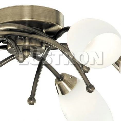 Потолочная люстра Arte Lamp Opal A8186PL-6AB
