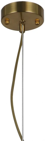 Подвесной светильник Favourite Wonderland 2907-1P (220V, на тросе, круглые)