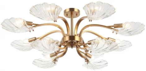 Потолочная люстра на штанге Stilfort Muschel 2153/05/12P (220V)