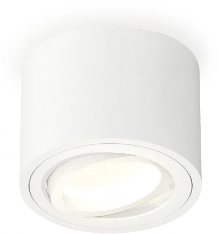 Накладной точечный светильник Ambrella Techno Spot XS7510001 (220V, круглые)