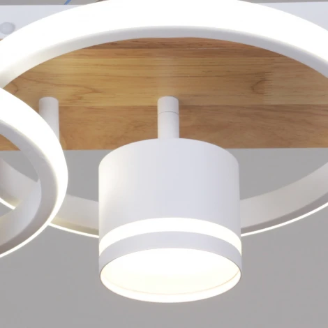 Потолочная люстра с пультом с регулировкой цветовой температуры, яркости и ночным режимом Reluce 29560-0.3-2+2 WH+WOOD