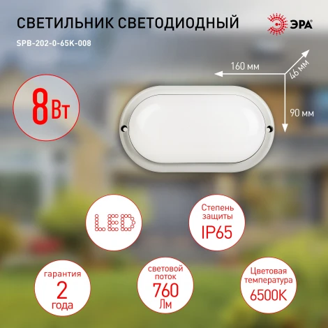 Настенно-потолочный светильник светодиодный ЭРА SPB-202-0-65K-008 (220V, IP65)