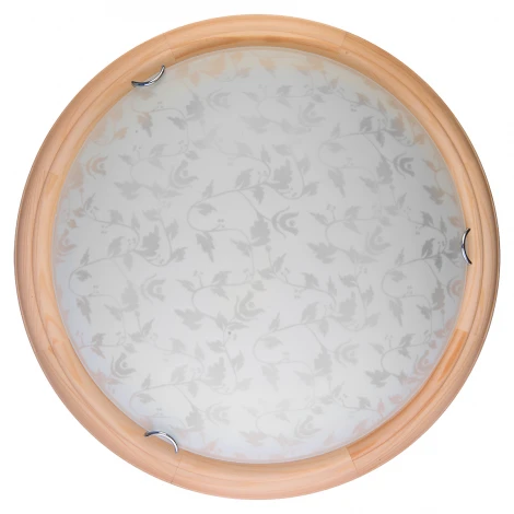 Настенно-потолочный светильник Toplight Beatrice TL9280Y-00PN