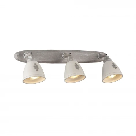 Спот Maytoni Agnes SP289-CW-03-BG