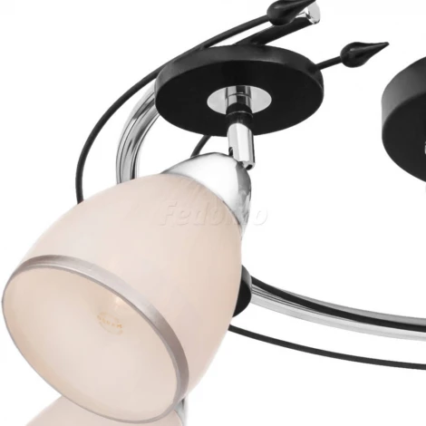 Потолочная люстра Silver Light Austerity 223.59.5