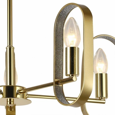 Потолочная люстра F-Promo Scintillans 2483-5P