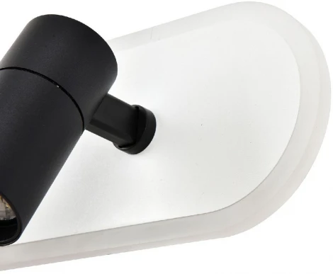 Натенно-потолочный светильник Favourite Planar 4076-2C (LED, 220V, пульт управления)