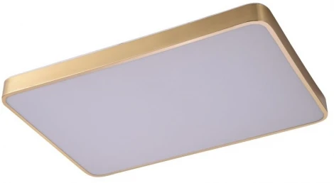 Потолочный светильник Zortes Monna ZRS.1209.09 (LED, 220V)