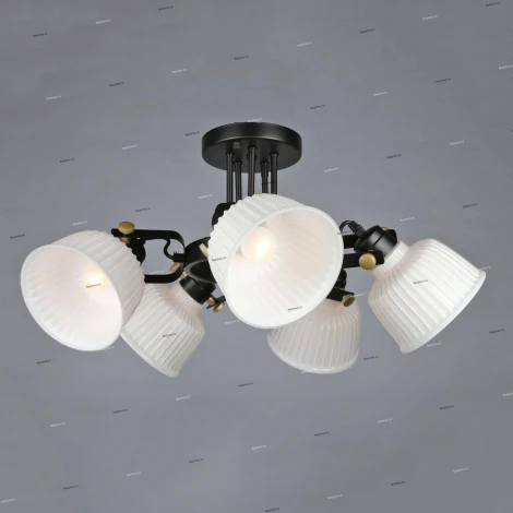 Потолочная люстра Omnilux Zamora OML-28207-05